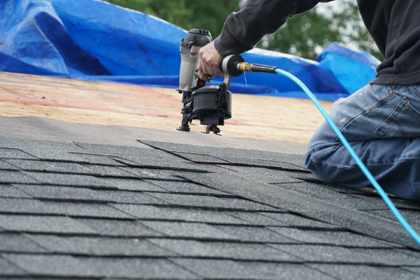 Best Local Roofing Companies  in Winfield, WV